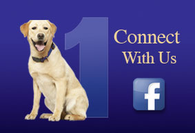 Connect With Us